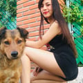 virymartinez @virymartinez profile image