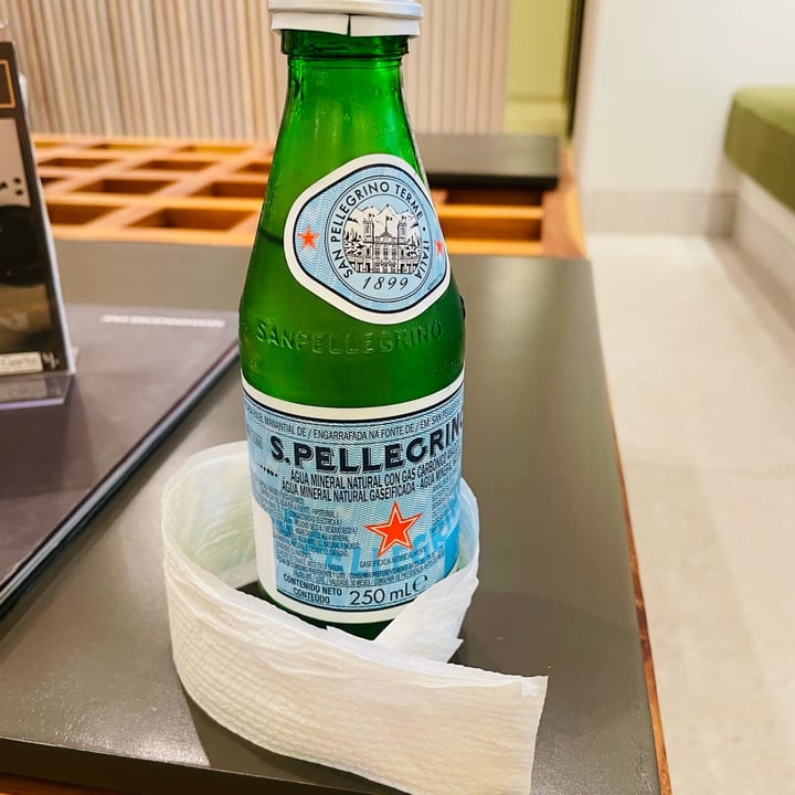 photo of S.Pellegrino Sparkling water shared by @caropanfan on  08 Nov 2022 - review
