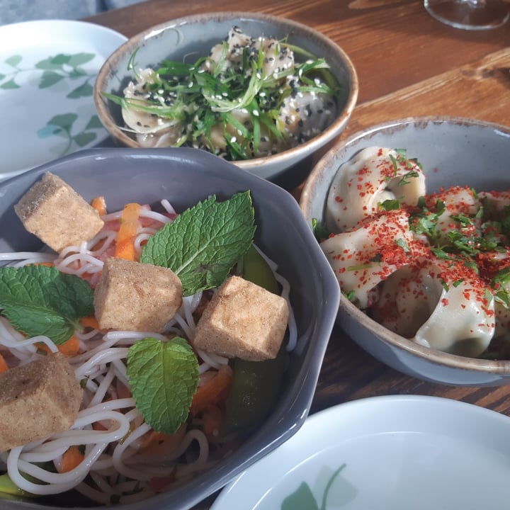 review photo of The Tramshed Chinese Dumplings shared by @verity on 19 Sep 2022 - review