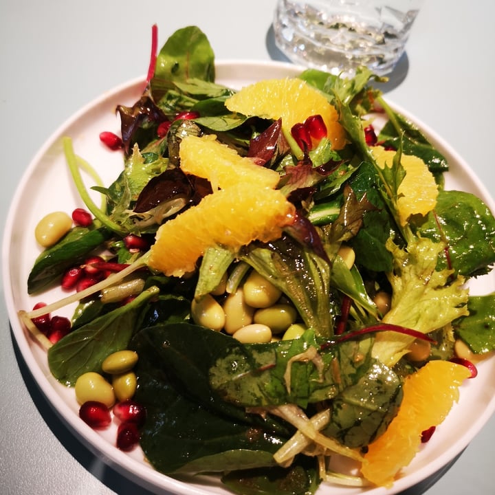 review photo of Green Common Singapore Pomegranate and Orange Salad shared by @evelynteo on 04 Apr 2021 - review