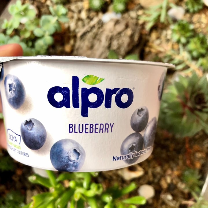 photo of Alpro Blueberry Yogurt shared by @bobbyeats on  21 Mar 2021 - review