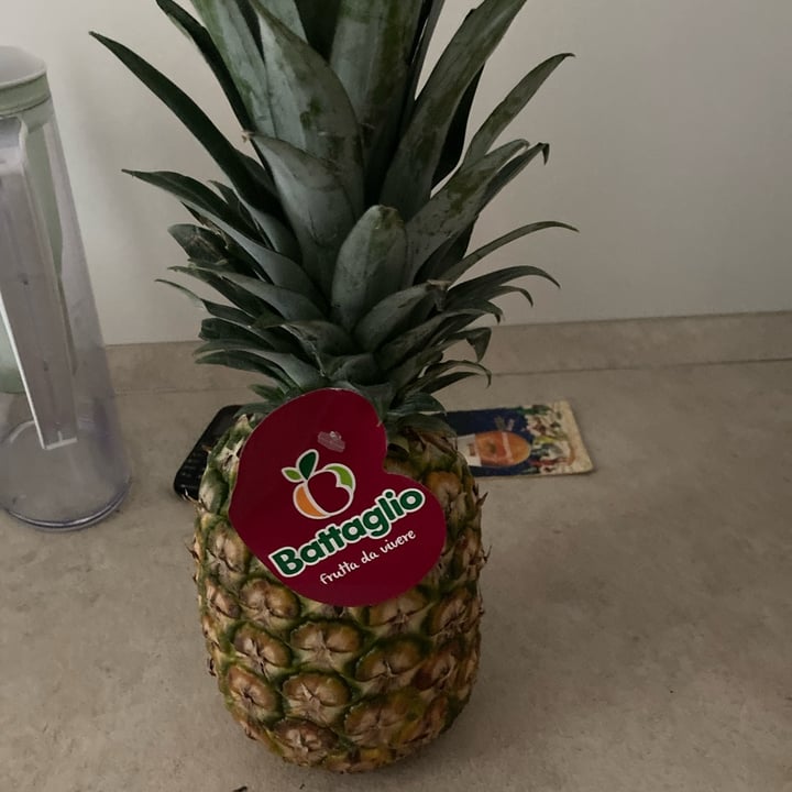 photo of battaglio Ananas shared by @saltatempo on  30 Jun 2022 - review