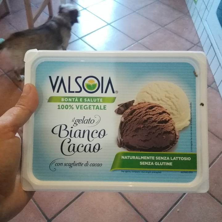 photo of Valsoia Gelato Bianco Cacao shared by @gemmagioia on  09 Jul 2021 - review