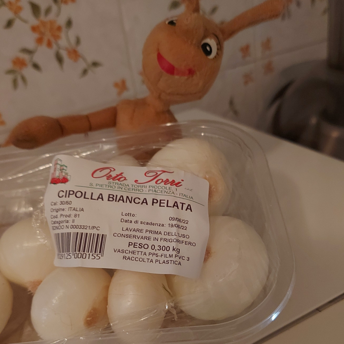 100 Semi Di Bianco Dolce Spagnolo Cipolla. Combo S/H - Foto 11