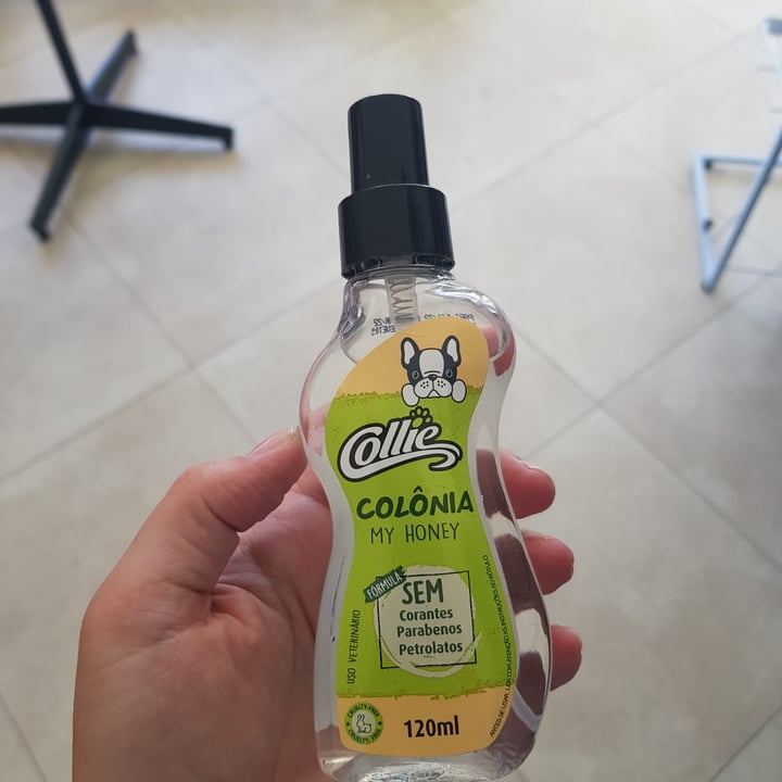 photo of Collie Colônia Para Caes shared by @dani16 on  26 Apr 2022 - review