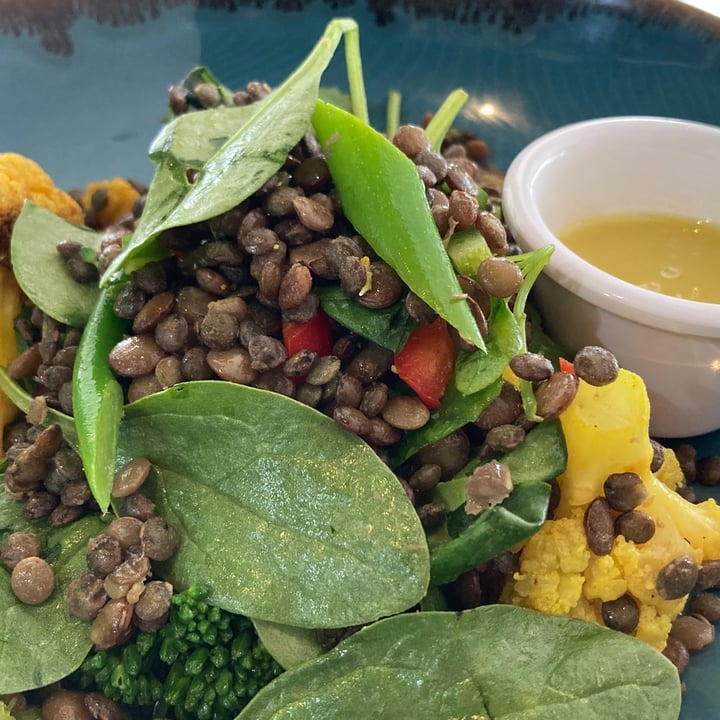 photo of Little Farms - Island-wide Delivery Lentil Salad With Roasted Cauliflower And Broccolini shared by @hollya113 on  13 Jan 2021 - review