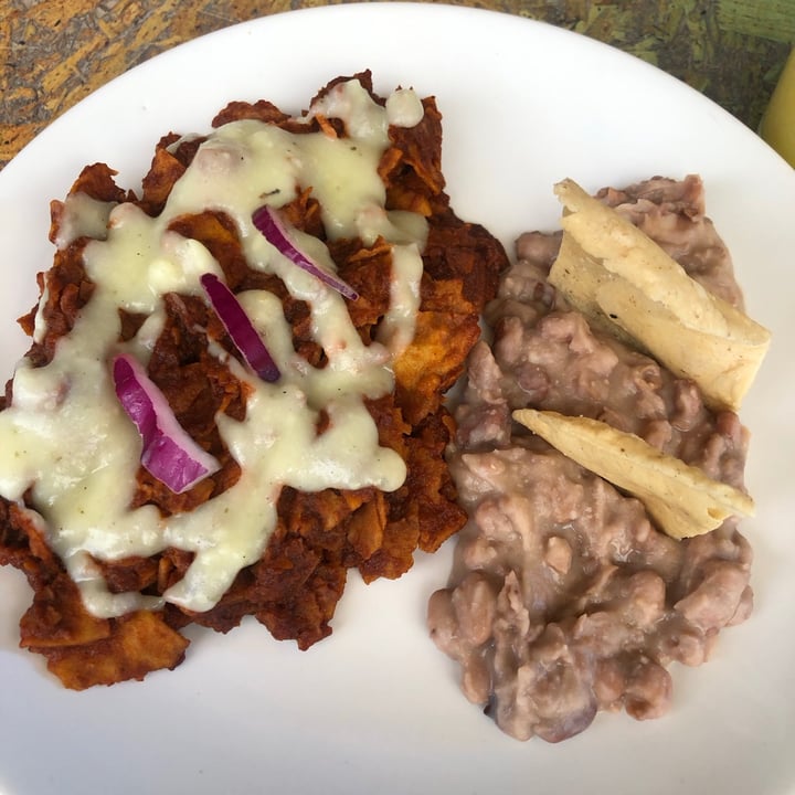 photo of Café Jardín Laureles Chilaquiles rojos shared by @valeriarse on  01 Oct 2020 - review