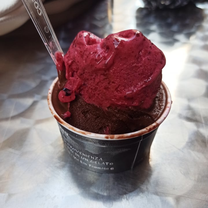 photo of + Di Un Gelato Gelato Vegan shared by @fraveg15 on  05 Jul 2022 - review