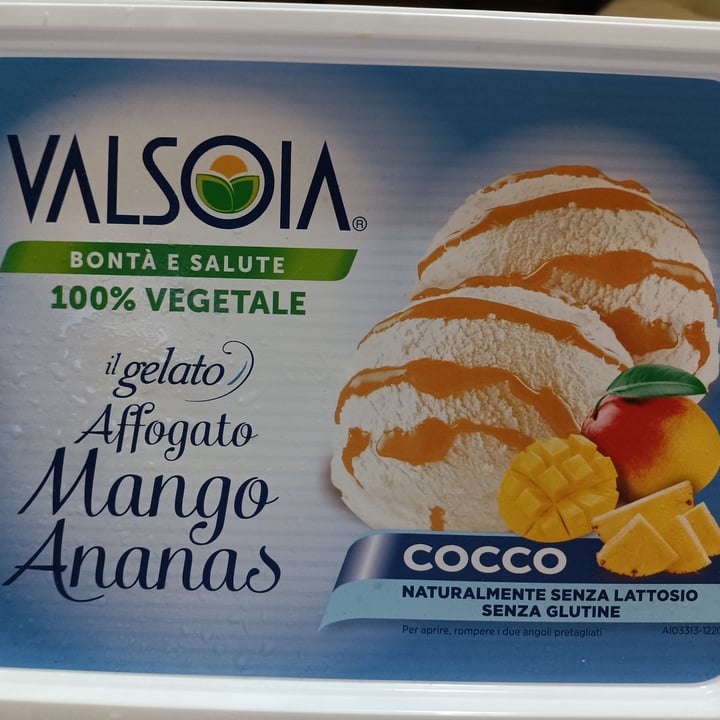 photo of Valsoia Gelato affogato mango ananas shared by @maka89 on  25 Jun 2022 - review