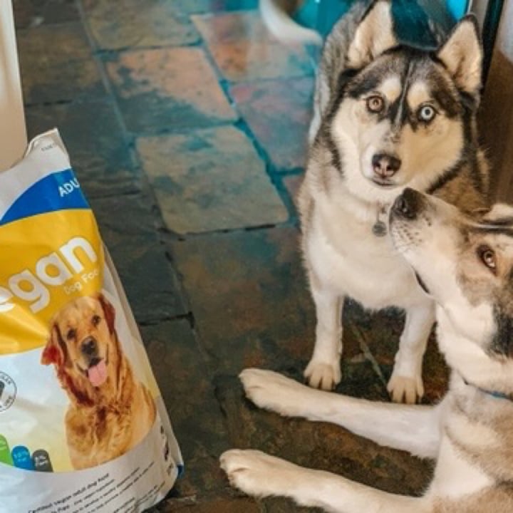 photo of Biopet Bio Vegan Dog Food shared by @georgiak on  21 May 2020 - review