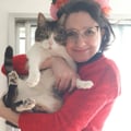 candeconbuzo @candeconbuzo profile image