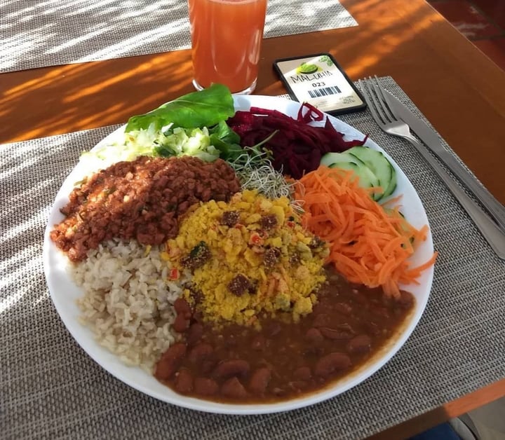review photo of Maluhia Restaurante Vegetariano Abobrinha Recheada Vegana shared by @hugovegaman on 01 Apr 2020 - review