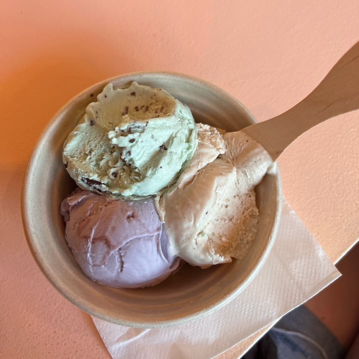 photo of KOKOS Ice Cream 100% Plant Based "To Go" Shop Plant based ice cream shared by @jordynmiller on  24 May 2022 - review