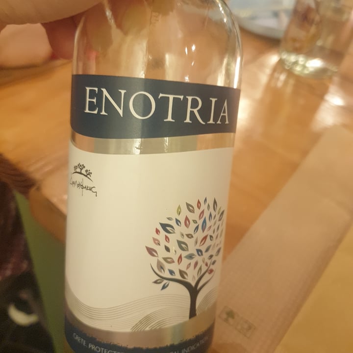 photo of Laganum Enotria - White Dry Wine shared by @thedronewhisperer on  18 Jul 2022 - review