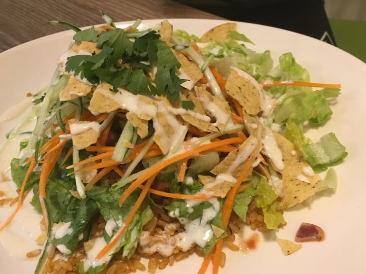 photo of Genesis Vegan Restaurant 7-layer Haystack shared by @truphotos on  24 Dec 2019 - review