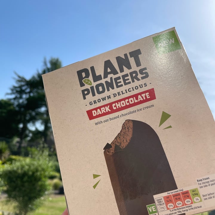 photo of Plant Pioneers Dark chocolate ice lolly shared by @familywanderful on  19 Jun 2022 - review