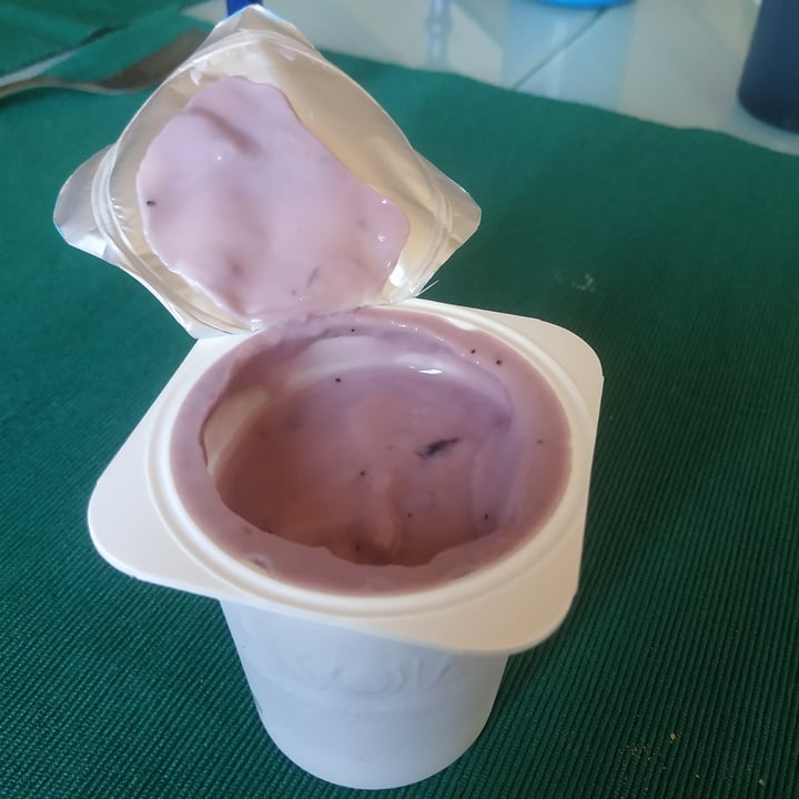 review photo of Valsoia Yosoi Yogurt Mirtillo shared by @cecib on 18 Aug 2021 - review