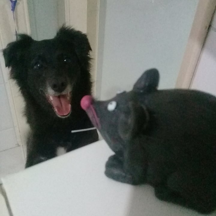 review photo shared by @lilianemaria on 29 Apr 2022 - post