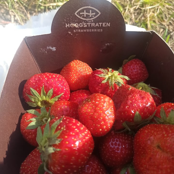 photo of Hoogstraten Strawberries shared by @sorinaparis on  20 Aug 2022 - review