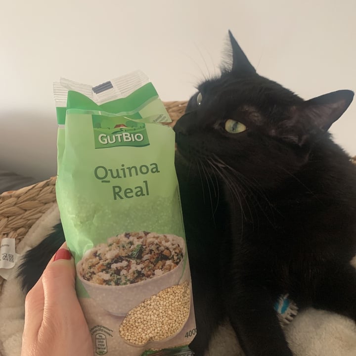 photo of GutBio Quinoa real shared by @evix on  04 Jun 2021 - review