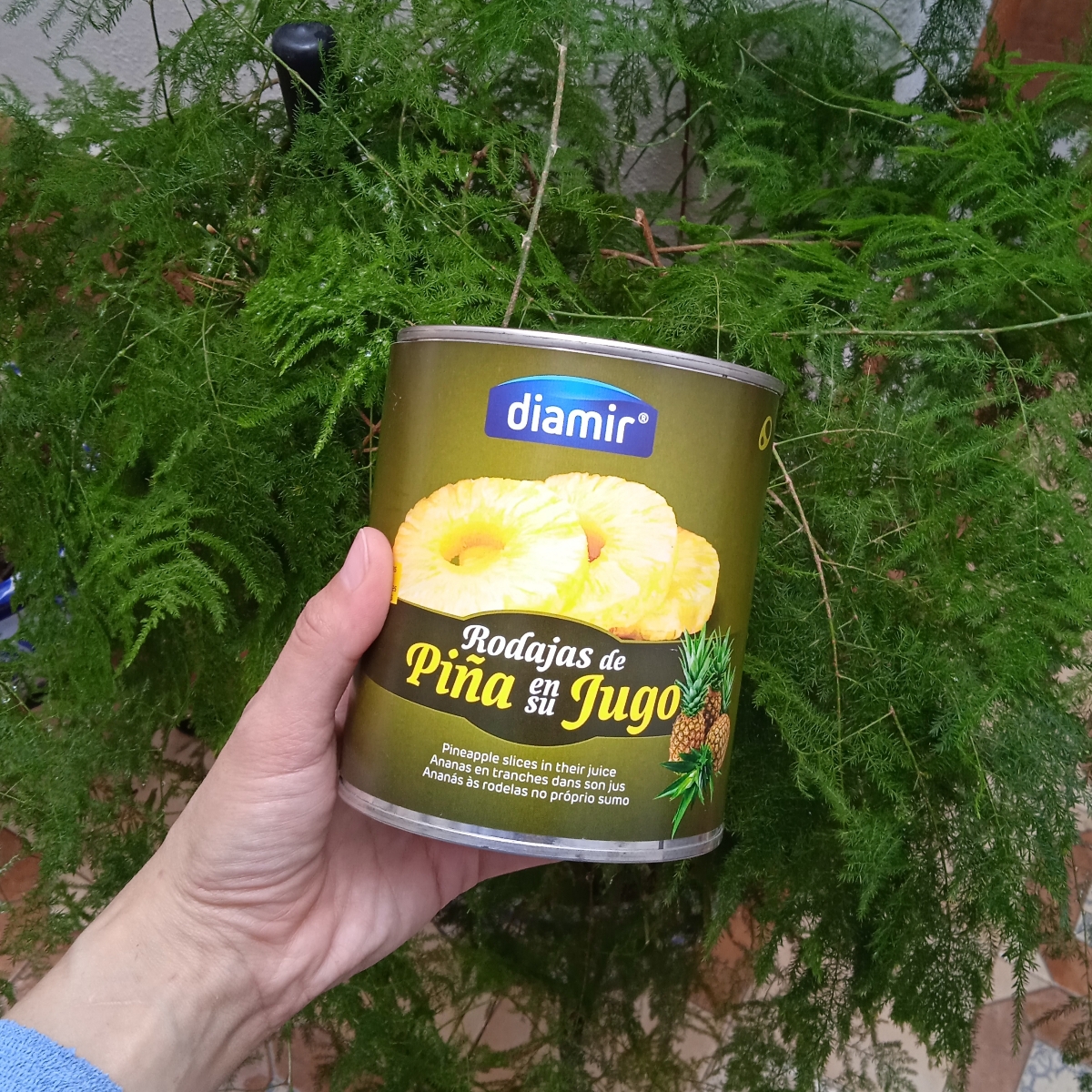 rodajas de piña en su jugo from Diamir - Vegan Product Reviews ...