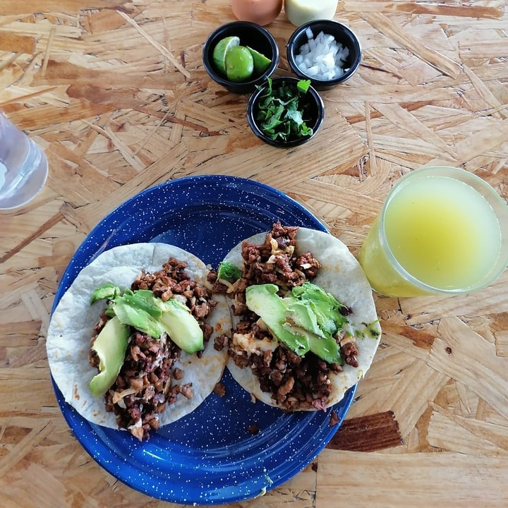 review photo of La Garnacha Azul Campechana harina integral shared by @sandymediina on 12 Aug 2020 - review