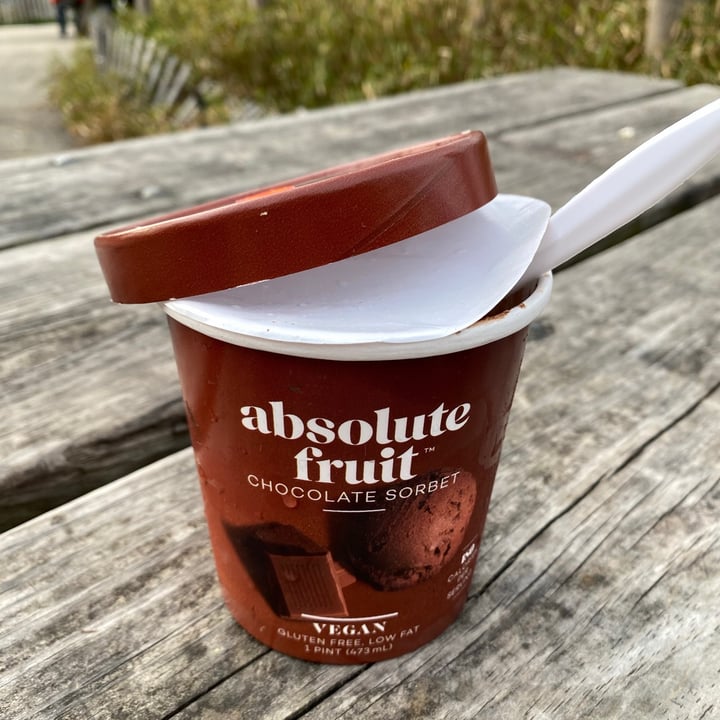 photo of Absolute Fruit Chocolate Sorbet shared by @potatolover on  12 Apr 2021 - review