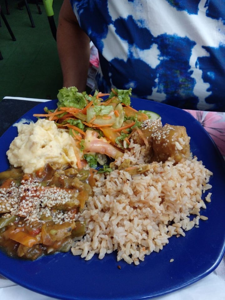 photo of Vegetariano Mandarino's Arroz integral, ensalada, queso de soya con caramelo de naranja y ajonjolí shared by @ruzama on  03 Aug 2019 - review
