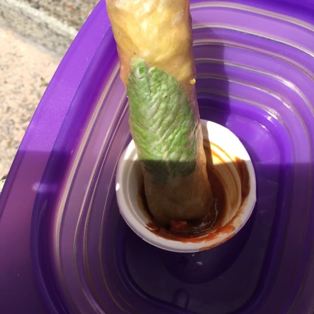 Photo of the dish “Spring Roll with peanut sauce”