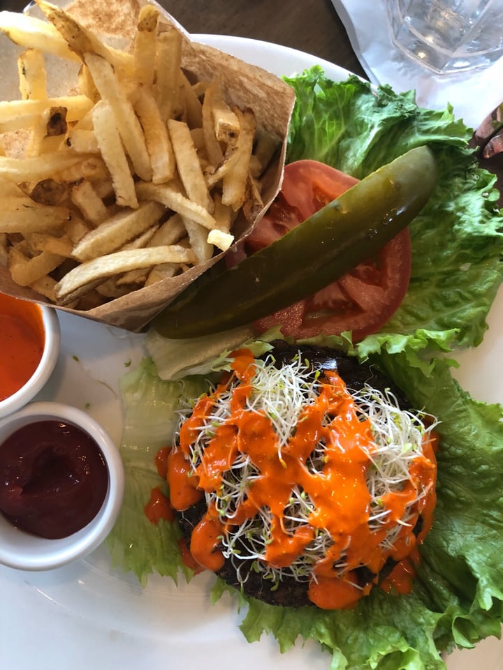 review photo of Pacific Coast Grill Veggie burger shared by @ecogoddess on 12 Apr 2019 - review