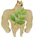 nurus @nurus profile image