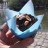 El karma vegano