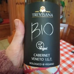 Trevisana azienda agricola