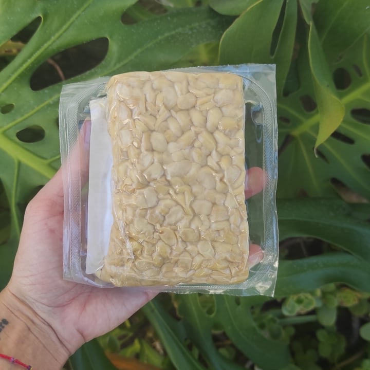 photo of Provida - Produtos Naturais Tempeh BIO shared by @sofiarodrigues on  21 Nov 2021 - review