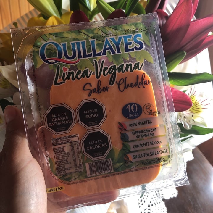 photo of Quillayes Queso Sabor Cheddar shared by @camilaturner on  13 Oct 2020 - review