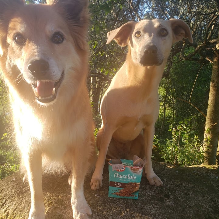 review photo of Dr. Oetker chocolate em pó shared by @loute on 23 Oct 2022 - review