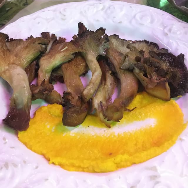 Photo of the dish “Girgolas Y Plata Volador”