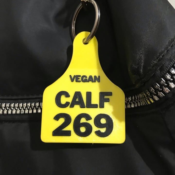 photo of Caravana 269 Caravana Vegan Calf 269 shared by @azaivegana on  15 Dec 2020 - review