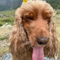 dany90 @dany90 profile image