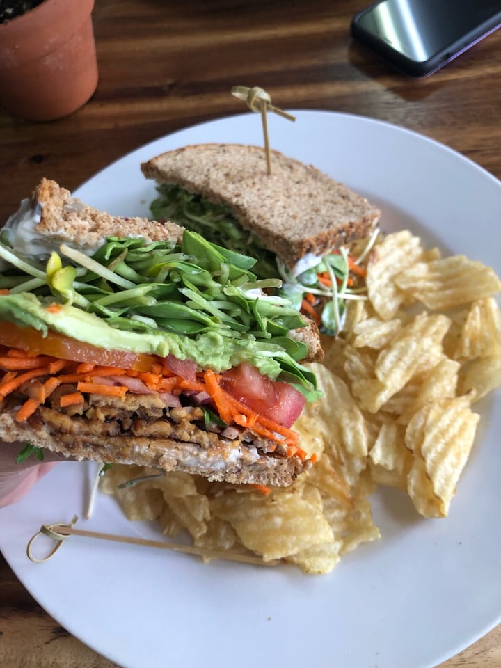 review photo of The Beet Box Cafe Three Little Birds Sandwich shared by @lifewithlaurel on 03 Jan 2020 - review