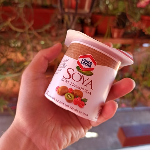 Soya Kiwi Frambuesa Yogurt