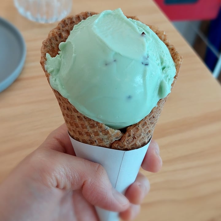 photo of Lilac Oak Mint gelato with Cacao nibs shared by @windgal on  16 Feb 2022 - review