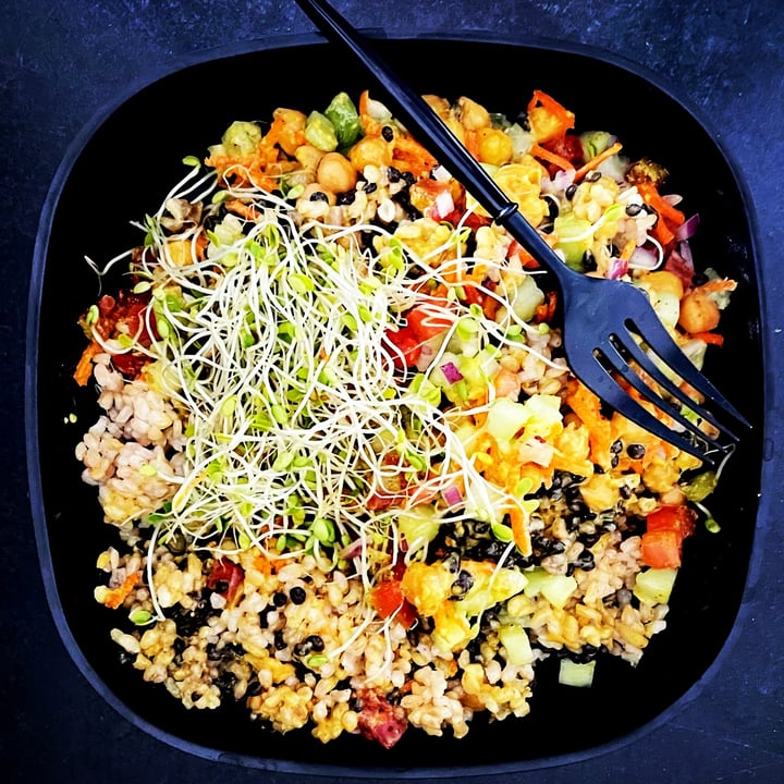 photo of Active Culture Novato Lentil Goodness Bowl shared by @dawnsylvester on  12 Nov 2021 - review