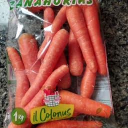 Il Colonus