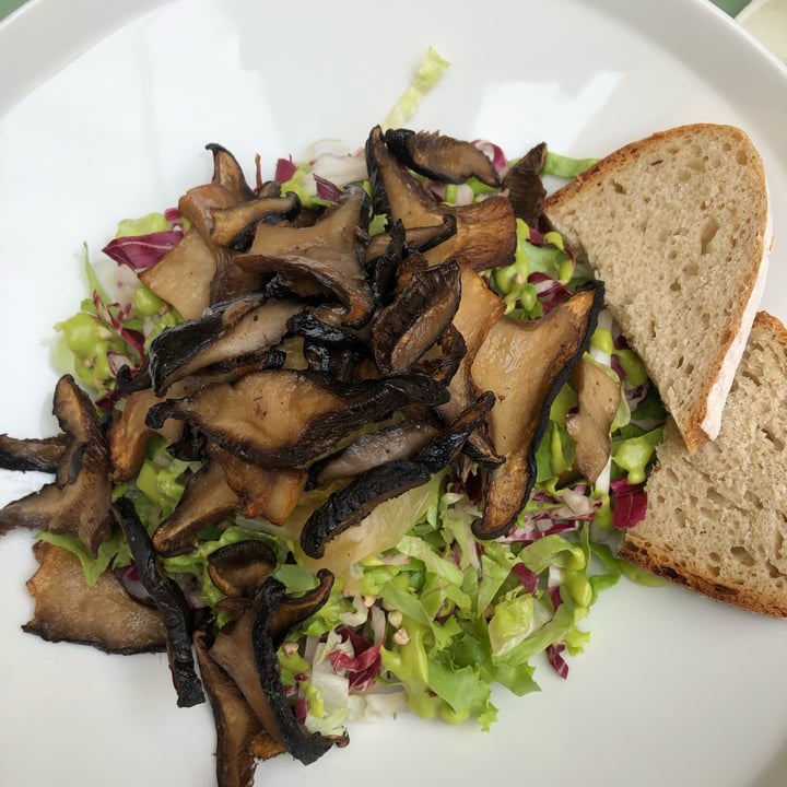 photo of Herbe - Food & Drink Vegetale Mushroom salad shared by @frappa on  26 May 2022 - review