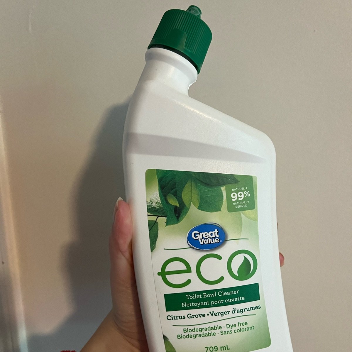 Great Value Eco Toilet Bowl Cleaner Reviews abillion