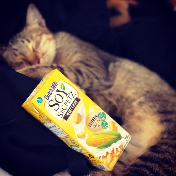 review photo of Dutchmill Soy Secretz Dutch Mill Soy Secretz shared by @yin on 23 Aug 2020 - review
