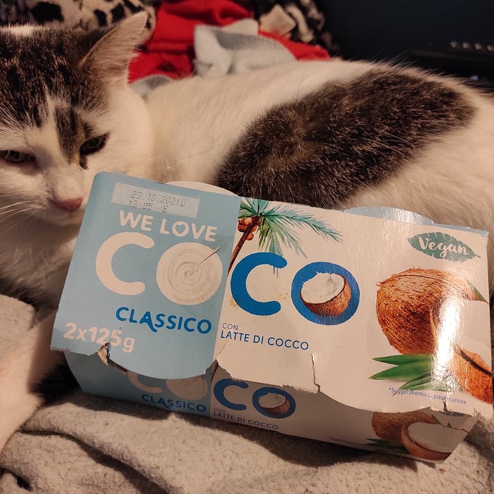 photo of We love coco We love coco Classic shared by @myriamjaelriboldi on  14 Oct 2021 - review