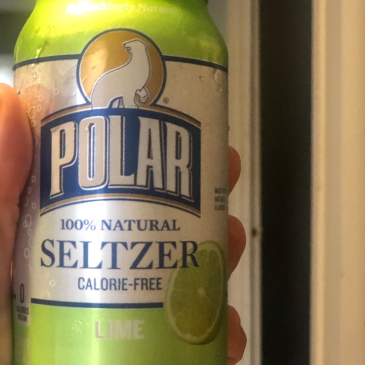 photo of Polar Selzer Lime shared by @micheleferrara on  11 Nov 2020 - review