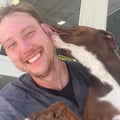 jacobnewstar @jacobnewstar profile image